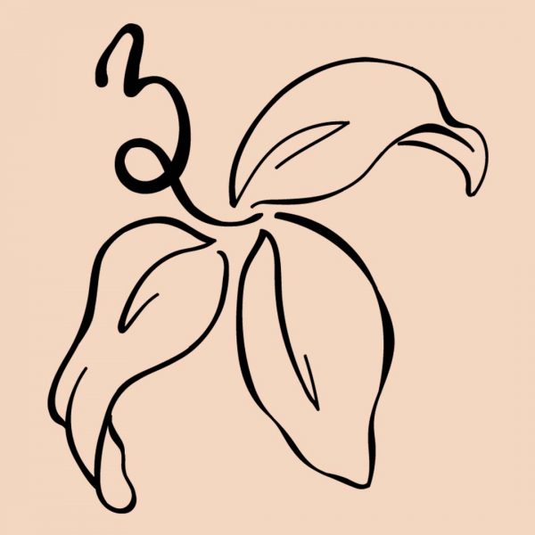 Natalia Lane Designs Logo flower three leaves